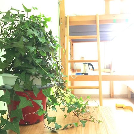 Weihai Hiking International Hostel エクステリア 写真