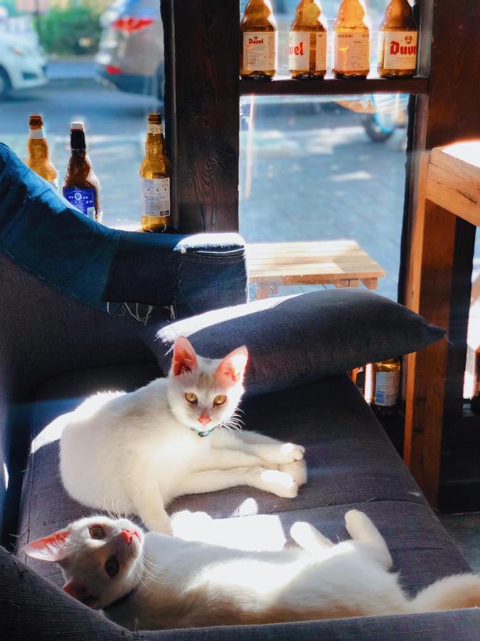 Weihai Hiking International Hostel エクステリア 写真